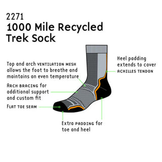 1000 Mile Women's Trek Sock | Repreve Twin Pack for Hiking - Borderland Muff
