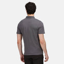 Regatta Mens Sinton Polo -MAGNET - Borderland Muff