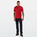 Regatta Mens Sinton Polo -DEHLI RED - Borderland Muff