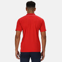 Regatta Mens Maverick V Polo -CHINESE RED - Borderland Muff