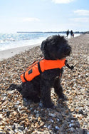 Typhoon Totland Dog Vest - Borderland Muff