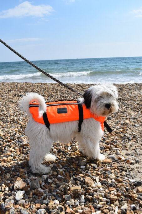 Typhoon Totland Dog Vest - Borderland Muff