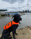 Typhoon Totland Dog Vest - Borderland Muff