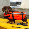 Typhoon Totland Dog Vest - Borderland Muff