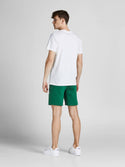 Jack & Jones JPSTNEWSOFT Sweat Shorts -TREKKING - Borderland Muff