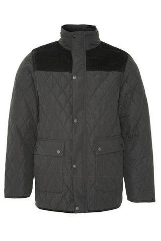 Champion Mens Lewis Padded Jacket-BLACK - Borderland Muff
