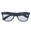 VANS Spicoli 4 Sunglasses - Borderland Muff