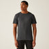 SEAL GREY