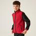 RED BLACK
