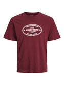 Jack & Jones JORYORK Men’s Crew Neck T-Shirt – Regular Fit Cotton Tee - Borderland Muff