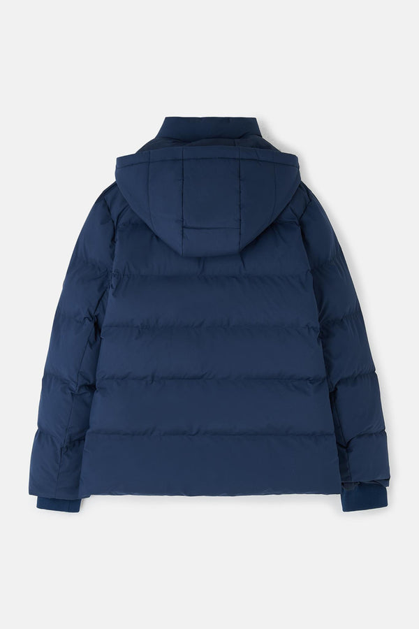Ladies Lighthouse Margot Short Padded Jacket | Sage, Navy & Cream - Borderland Muff