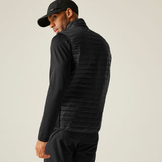 Regatta Men’s Andreson Hybrid Gilet Olive Green, Black & Navy | Borderland Muff