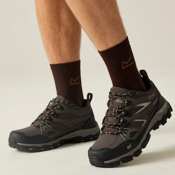Regatta Men’s Holcombe III Low Waterproof Walking Shoes - Borderland Muff