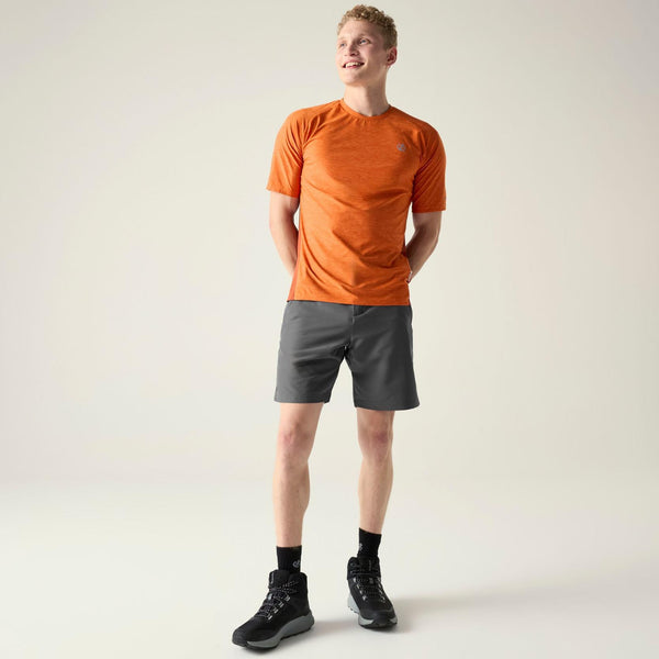 Dare 2b Torrek II Walking Shorts Magnet | Men's Hiking Shorts Ireland