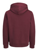 Jack & Jones Frederiksberg Men's Relaxed Fit Hoodie - Borderland Muff