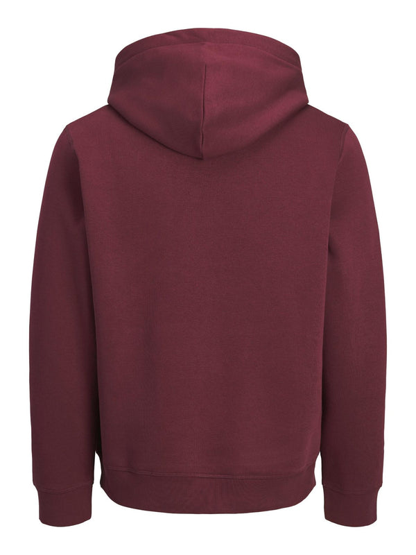 Jack & Jones Frederiksberg Men's Relaxed Fit Hoodie - Borderland Muff