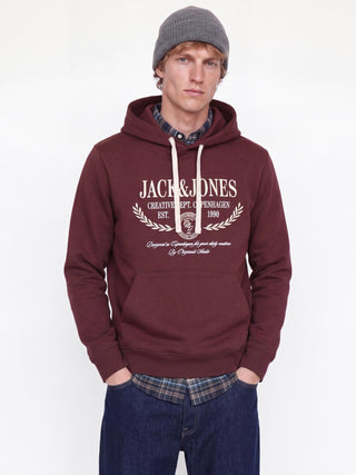 Jack & Jones Frederiksberg Men's Relaxed Fit Hoodie - Borderland Muff