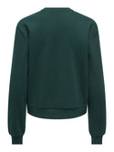Pine green ONLY ONLDA Christmas sweatshirt showing plain back
