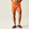 Regatta Mackleyna Men’s Swim Shorts | Quick Dry Swimwear - Borderland Muff