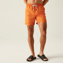 Regatta Mackleyna Men’s Swim Shorts | Quick Dry Swimwear - Borderland Muff