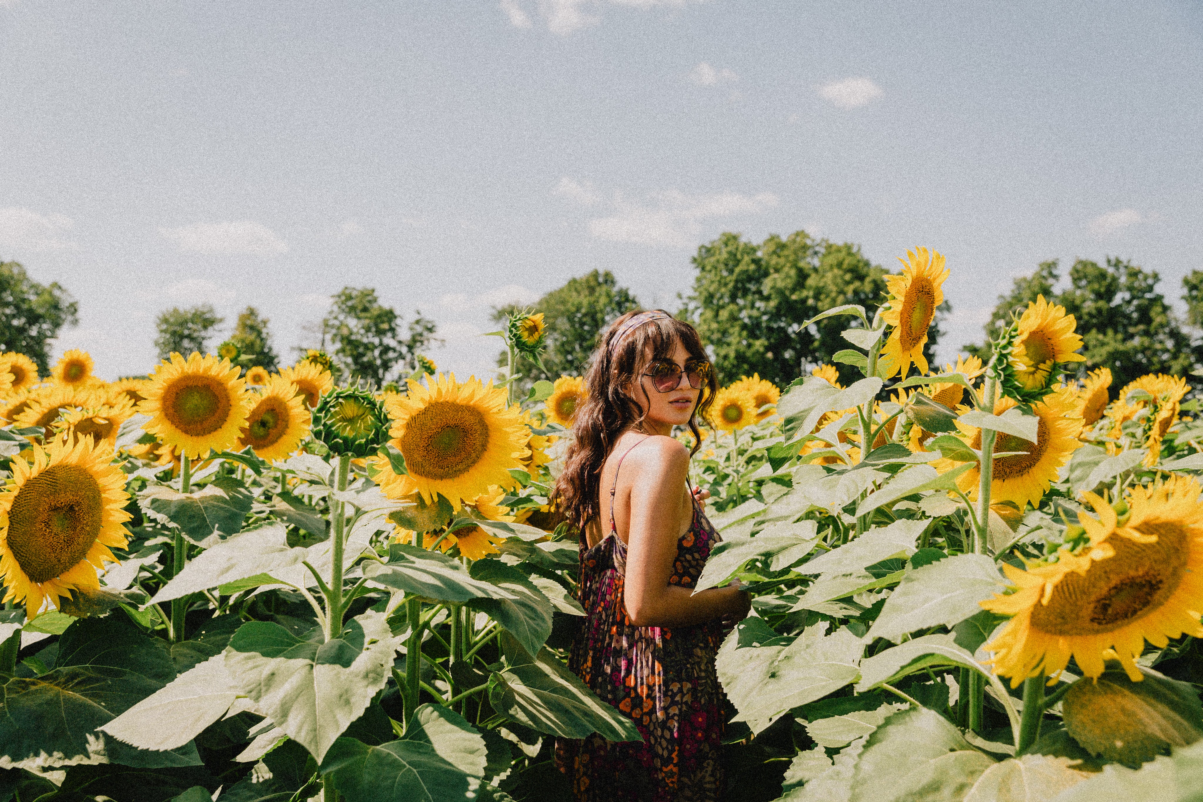 Woman in a floral dress standing in amongst sunflowers