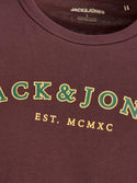 Jack & Jones JJCROSS Boys Tee -PORT
