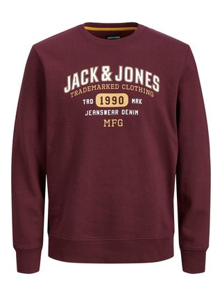 Jack & Jones JJSTAMP Kids Sweatshirt -PORT