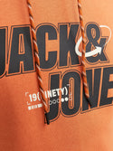 Jack & Jones JCOBLACK Hoody-APRICOT